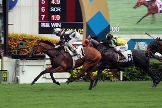 Little Giant (NZ) claims the 2019 G3 Sha Tin Vase in Hong Kong. Photo Cred: HKJC 